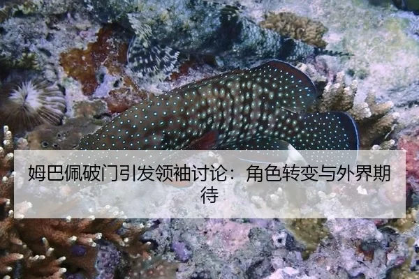 姆巴佩破门引发领袖讨论：角色转变与外界期待